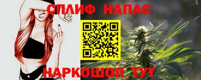 мдпв Брянск