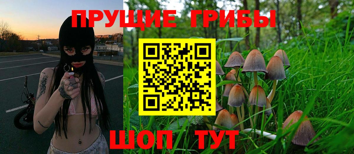Йошкар-Ола  Псилоцибиновые грибы прущие грибы  Вход с VPN 