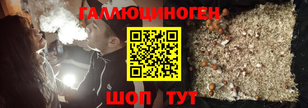 Галлюциногенные грибы мухоморы Йошкар-Ола